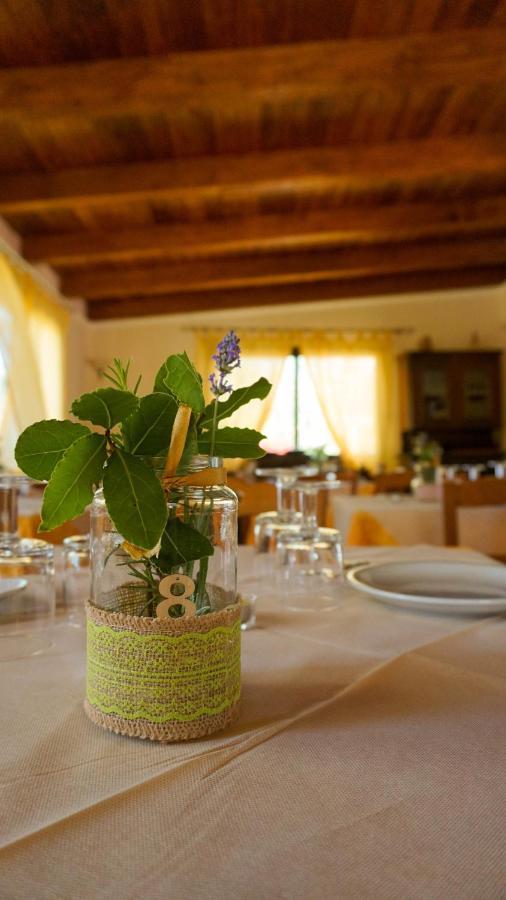 Agriturismo Azzarone Vieste Eksteriør bilde